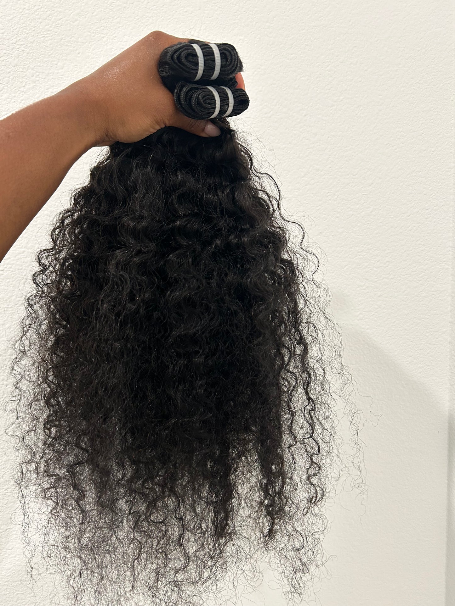 Burmese Curly