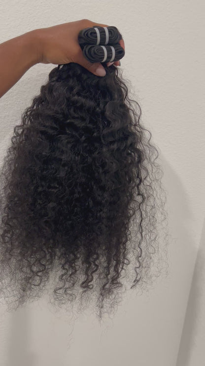 Burmese Curly